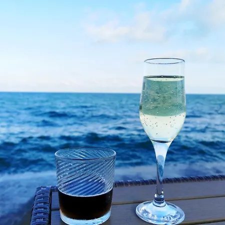 будинок з приватним пірсом та морем совіньон Holiday home Odesa