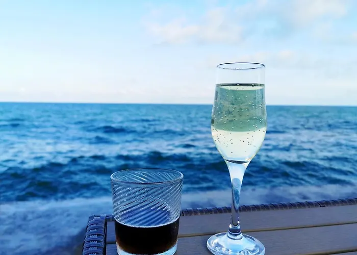 будинок з приватним пірсом та морем совіньон Holiday home Odesa